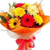 colourful-wishes